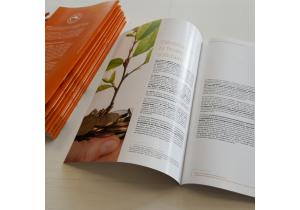 brochure A5 eco design impression personnalise lausanne