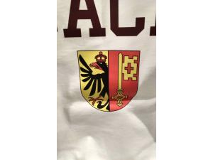 TShirt Fruit of the Loom SC6 marquage dft couleur face avant et arri�re pour Soci�t� Synergestion Sa � Grand-Lancy